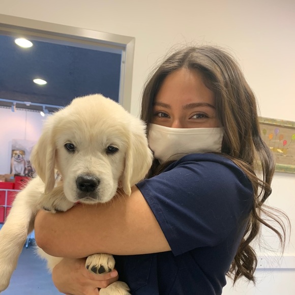 Meet your Posher, Elizabeth - Picture 1 of 1